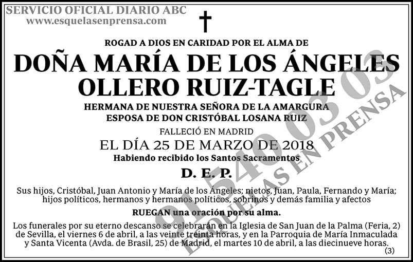 María de los Ángeles Ollero Ruiz-Tagle